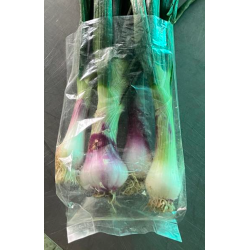 Spring Onion, RED - Bunch of min 3